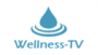 Canale TV delle regioni: Wellness  TV